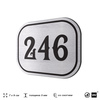 Номерок на дверь квартиры 246, для кабинета, офиса, шильдик 9 х 7 см, серебристый, Айдентика Технолоджи