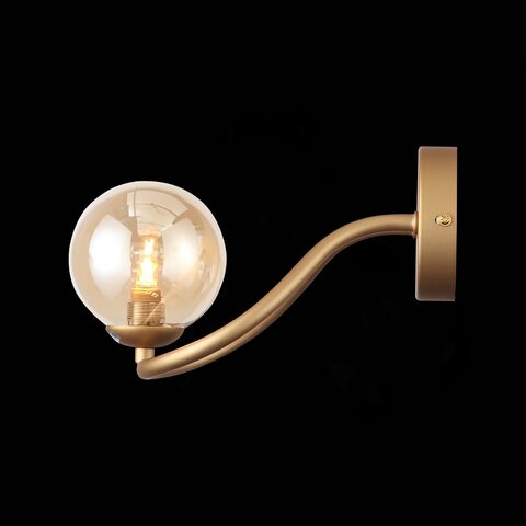 Светильник настенный ST Luce Legatezza SL1502.201.01