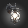 Светильник уличный ST Luce Lorne SL085.411.01