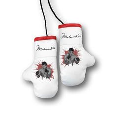 Перчатки боксерские комбинированные "Моххамед Али", белые с красным