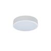 Потолочный светильник Loft It Axel 10002/12 White