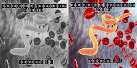 Павловский Е. Н. - Руководство по паразитологии человека