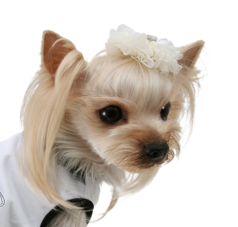 328 Заколка "Нежность" Puppy Angel