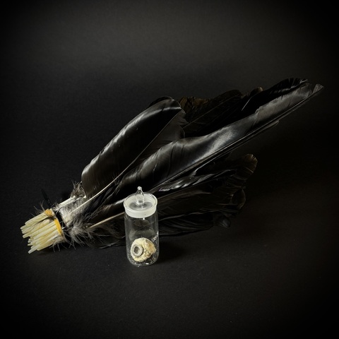 Перья и глаза вОрона