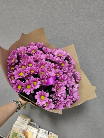 Фиолетовые ромашки