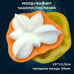 Силиконовый Вайнер + Молд для творчества 