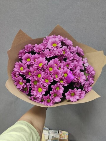 Фиолетовые ромашки