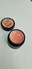 Fresh Гель renaissance для наращивания, мерцающий с мелким шиммером 15г