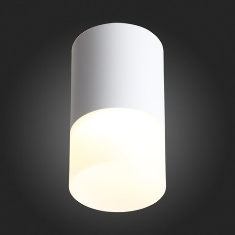 Светильник потолочный ST Luce ST100.502.05