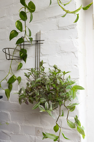 Подставка Настенная 2-я Прямая