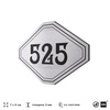 Номерок на дверь квартиры 525, для кабинета, офиса, шильдик 9 х 7 см, серебристый, Айдентика Технолоджи