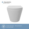 Aqueduto CONT2120 AQD CONE Tornado Унитаз подвесной 525*360 безободковый, Tornado, сиденье с микролифтом, белый матовый