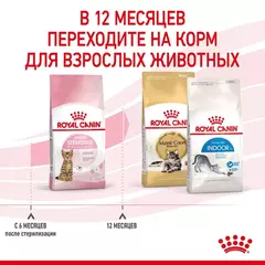 Royal Canin Kitten Sterilized Сухой корм для стерилизованных котят с момента операции до 12 месяцев
