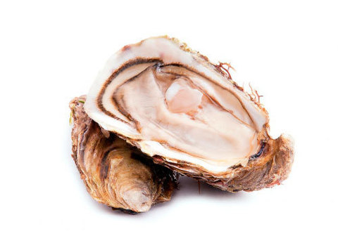 Устрицы Средиземноморские, 6шт