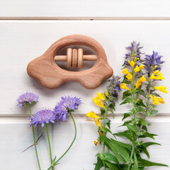 Погремушка - грызунок Машинка, Леснушки