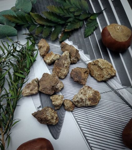 Метеорит Капустин Яр