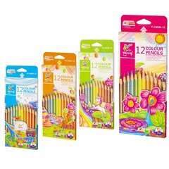 
          Карандаши цветные Yalong 12 цв., "Magic" деревянные, трехгранные, заточенные, дизайн на корпусе, грифель 3.0 мм, картон. уп., европод.