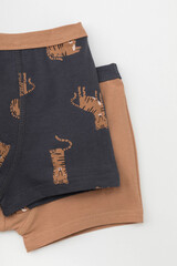 набор трусы/ уп  для мальчика  К 1980-2уп/индийский загар,темно-серый,тигры Ал