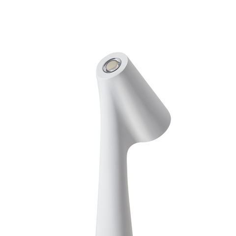 Настольный светильник Freya Clam FR6188TL-L3W
