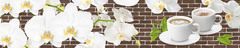 Кухонный фартук Кофе и орхидеи (Ф-131) 3000х600 мм