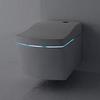 TOTO NEOREST AC  WASHLET Сиденье 423x675x119 мм, с дистанционным управлением, для унитаза: AC CW996P,  цвет: белый TCF996RWG#NW1