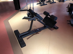 Гиперэкстензия DHZ E7045