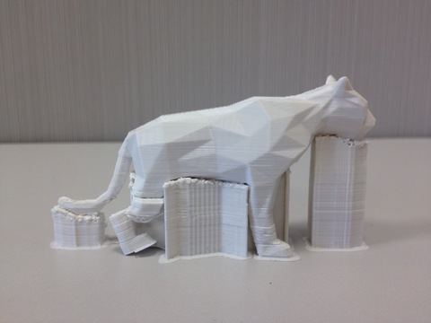 3D-принтер Cel Robox RBX1