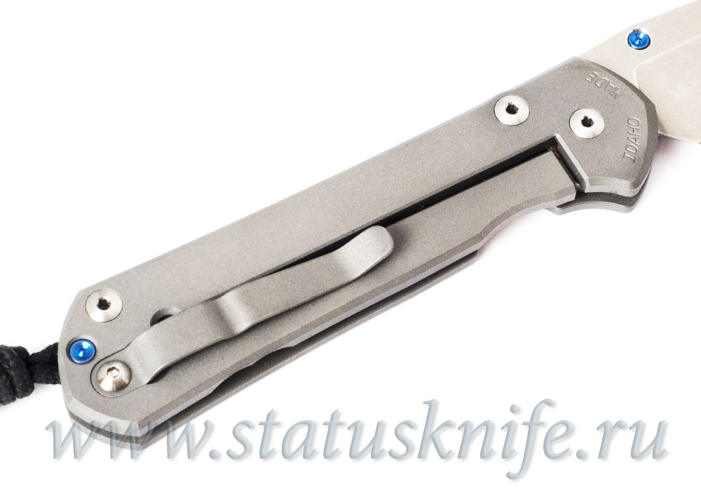 Нож Chris Reeve Knives 2012 Large Sebenza 21