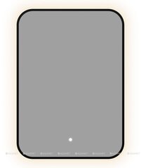 Aquanet 367648 Зеркало Контур 500х700 LED ТХ цв. черный (367648) фото