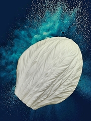 Молды 