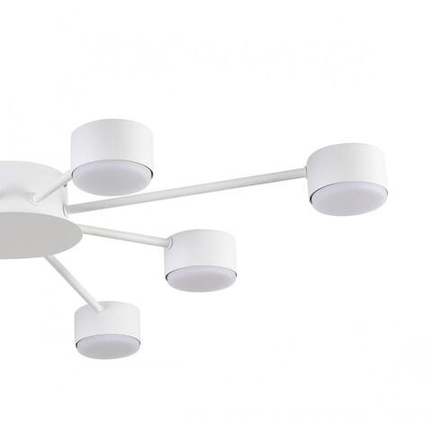 Потолочная люстра Lumion TORINA 8343/8C