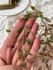 Ампельное растение, свисающая искусственная зелень, пепельно-розово-оливковый окрас, 105 см, набор 3 ветки