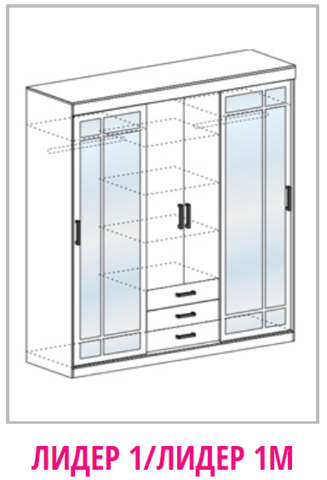 Шкаф - купе Лидер 1
