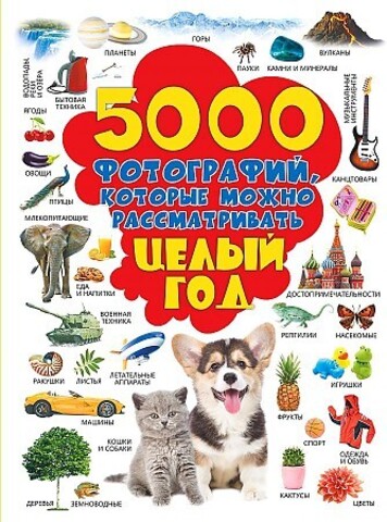 5000 фотографий, которые можно рассматривать целый год