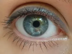 El Corazon карандаш для глаз автомат 404 Mica Pebble