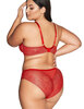 Трусы слипы Ava CROWN 2127 figi Red