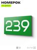 Номер на дверь 239, табличка на дверь для офиса, квартиры, кабинета, аудитории, склада, зеленая 120х70 мм, Айдентика Технолоджи