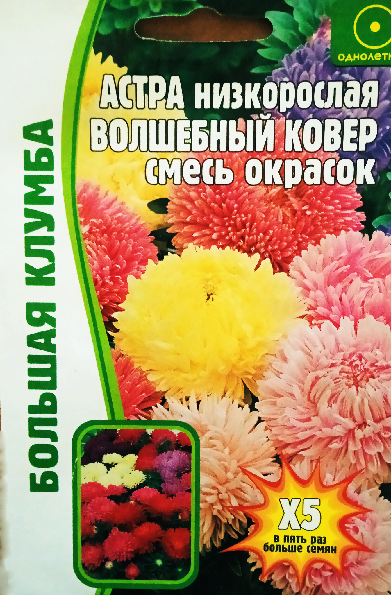 Волшебный ковер Астра смесь низк.1гр.(ред.сем)