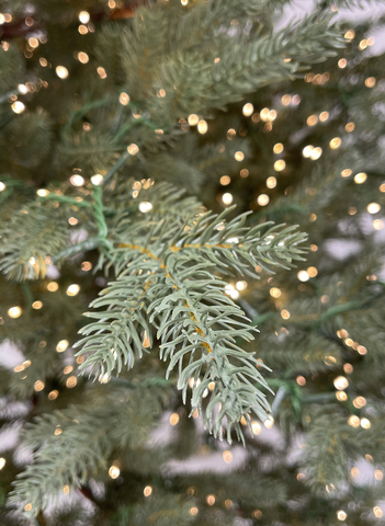 Ель TreeDeLuxe Лесная фея 100% литая 300см 9400 ламп зеленая