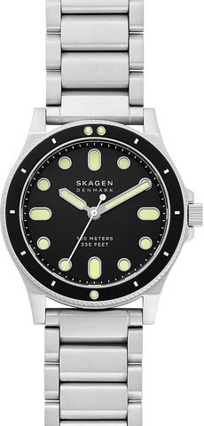 Наручные часы Skagen SKW6666 фото