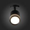 Светильник потолочный ST Luce ST101.412.05