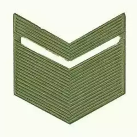 Лычка Старшина металл полевая