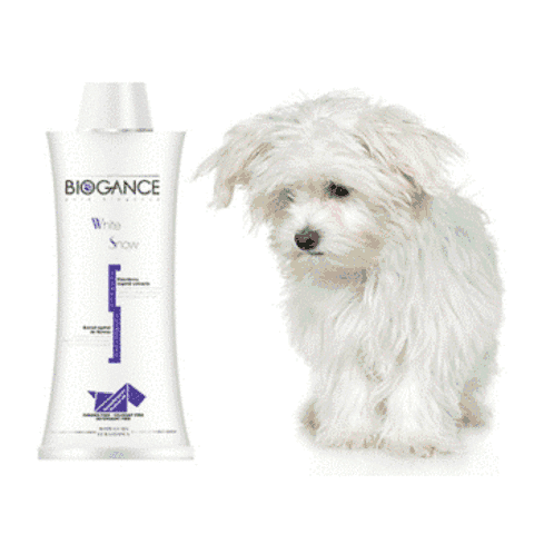 Biogance dog shampoo 2025