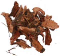 Ирис бледный (корень, 50гр.) (Старослав)