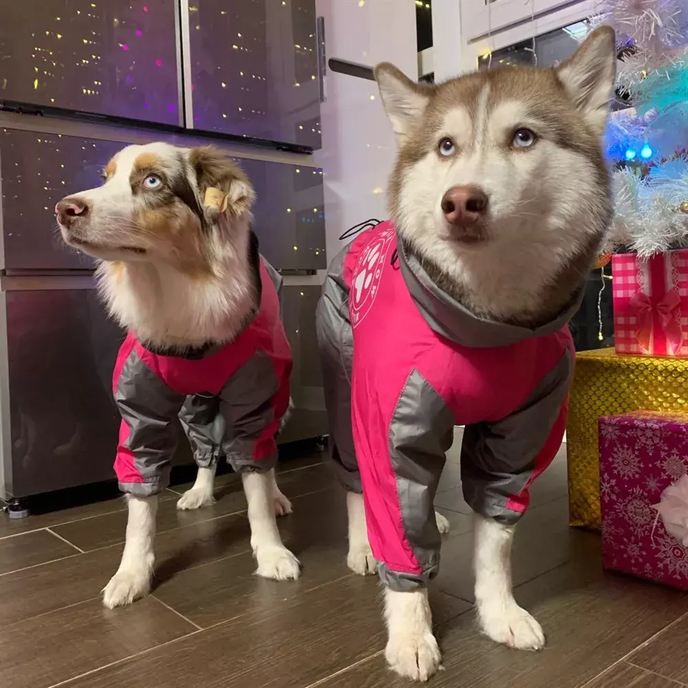Демисезонный комбинезон для собаки девочки White Wolf розово-серый