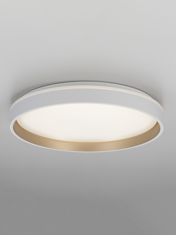 Потолочный светодиодный светильник Citilux Enzo CL753450G