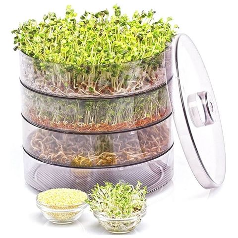 Проращиватель A.Vogel Keimgerat bioSnacky