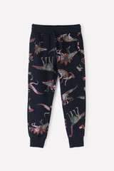 брюки  для мальчика  КР 400443/черный,динозавры