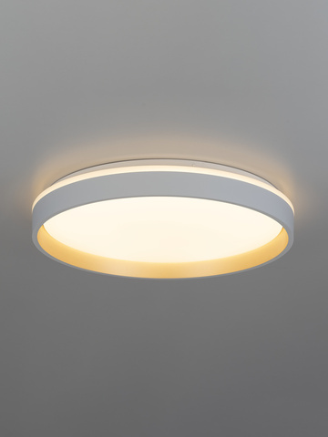 Потолочный светодиодный светильник Citilux Enzo CL753450G