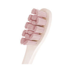 Сменные зубные щетки PW03 Pink для Oclean Z1 и Oclean X Pro